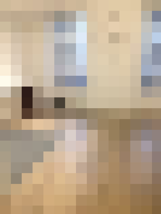  / #2