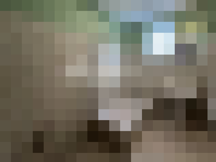  / #7