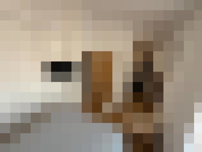  / #8