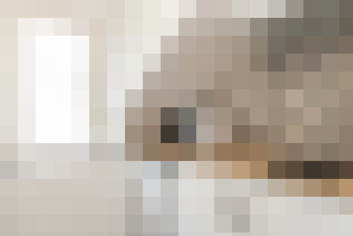  / #20