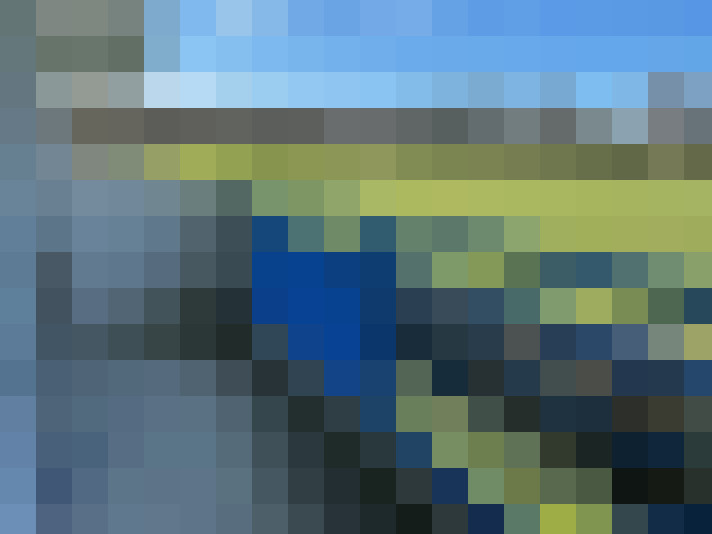  / #7