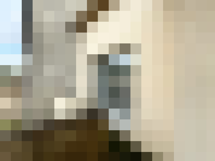  / #15