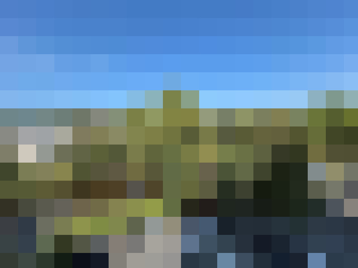  / #7