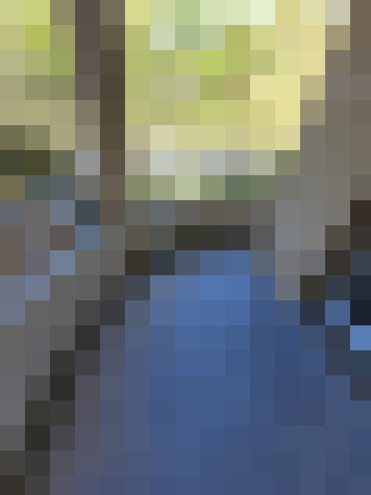  / #15