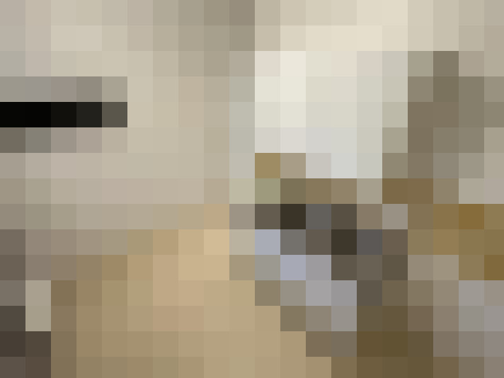  / #16