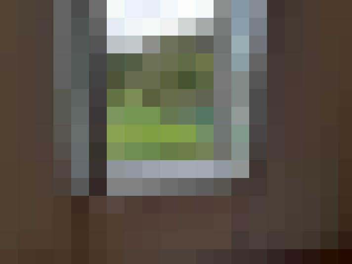  / #6