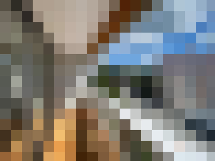  / #14