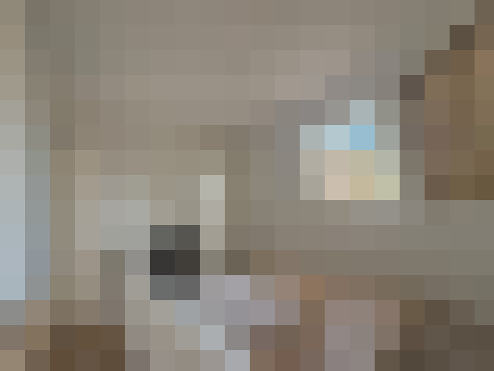  / #8