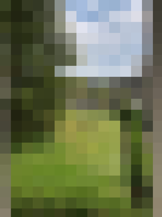  / #12