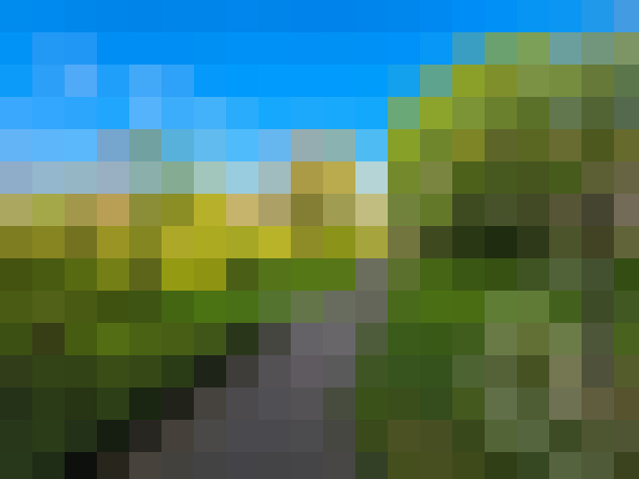  / #8