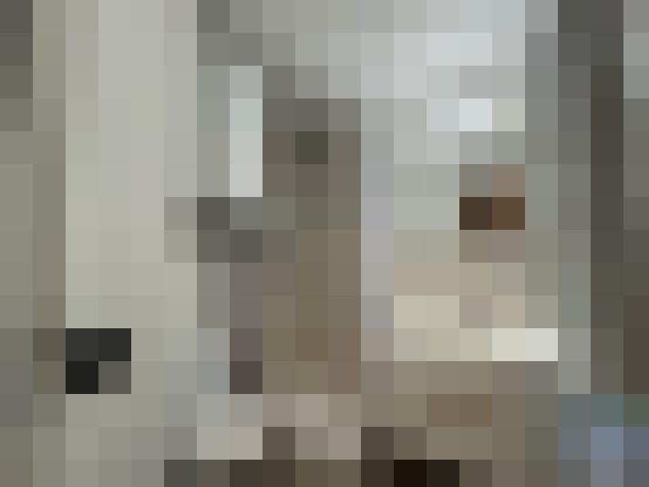  / #13
