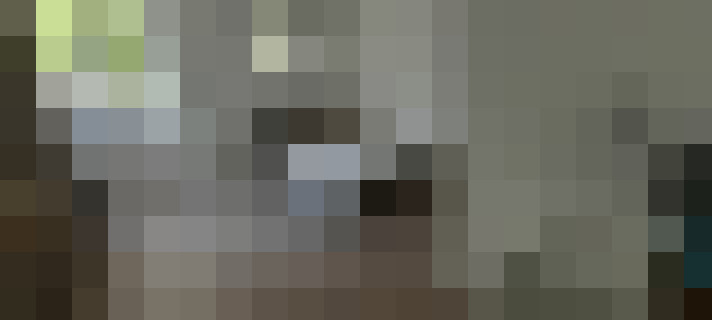  / #15