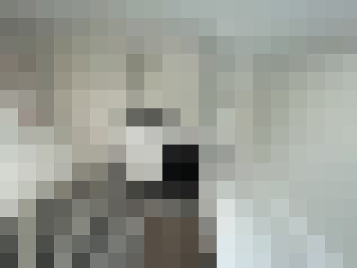  / #14