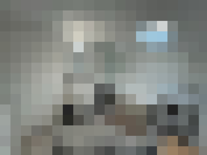  / #15