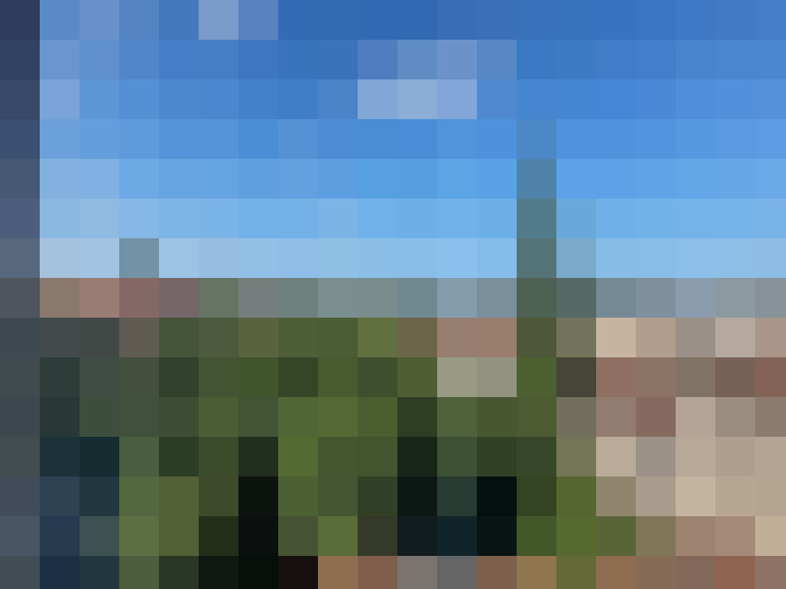  / #9