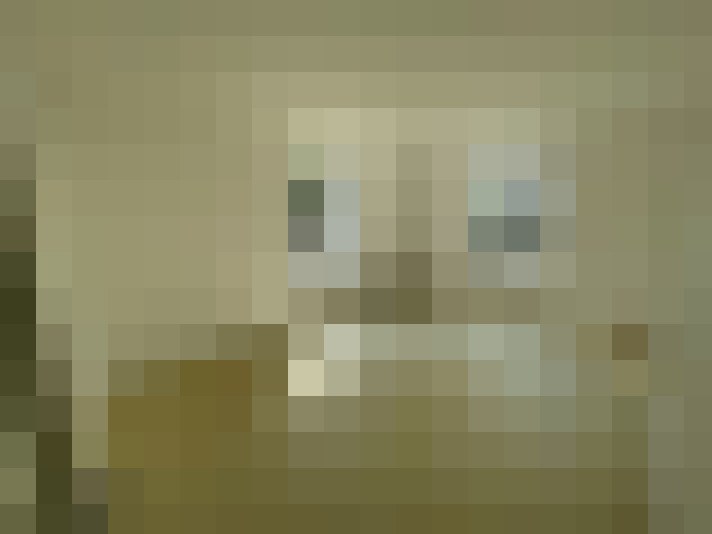  / #5