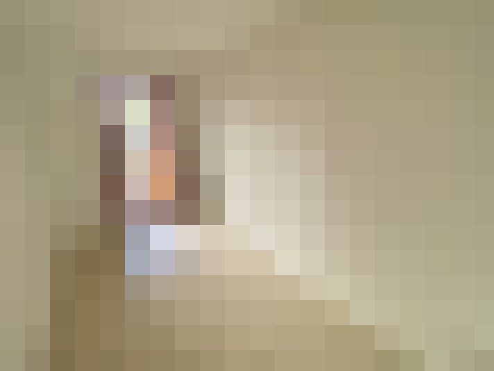  / #6
