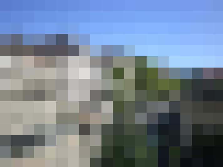  / #7
