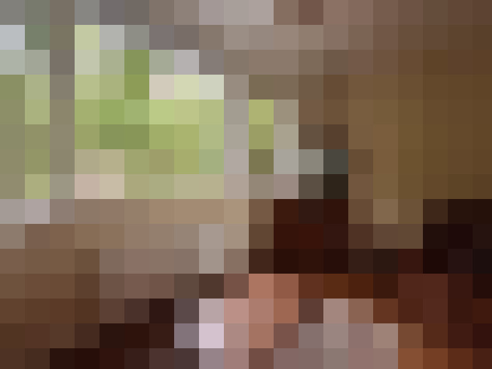  / #7