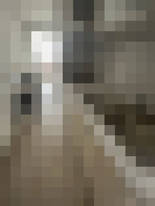  / #21
