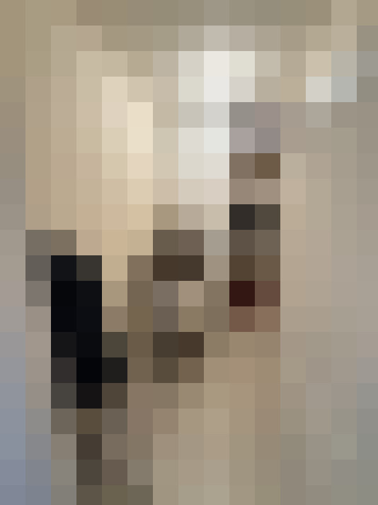  / #8