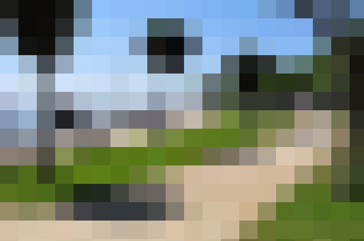  / #8