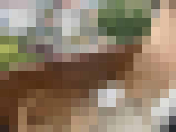  / #13