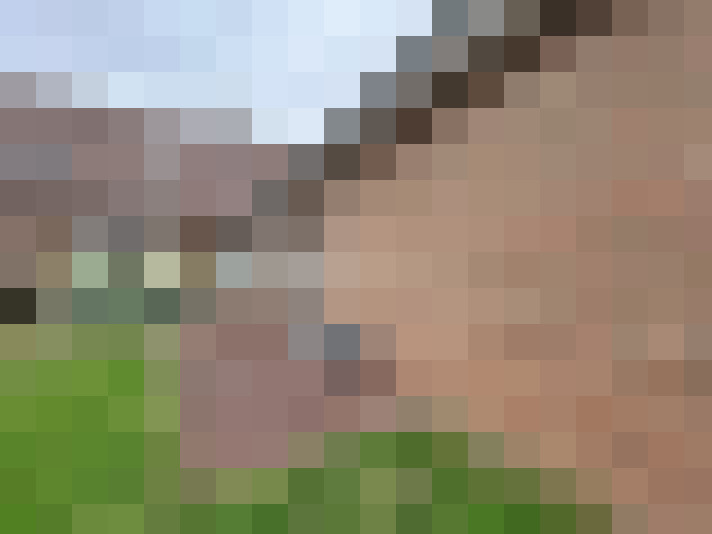  / #8