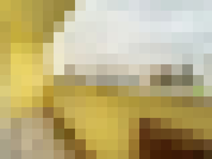  / #8