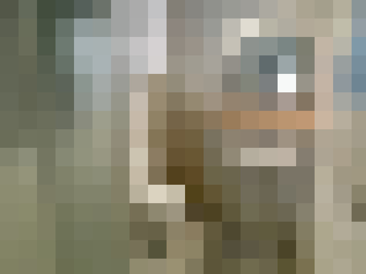  / #8