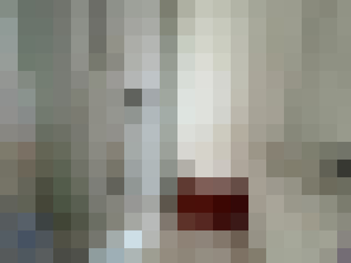  / #8