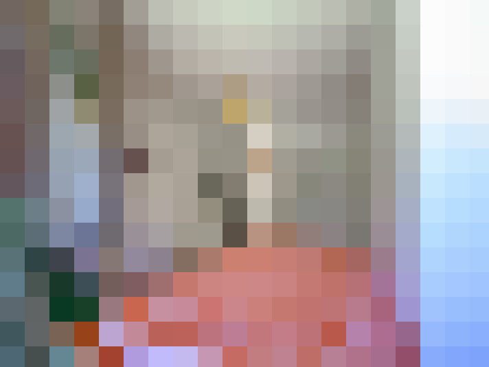  / #18