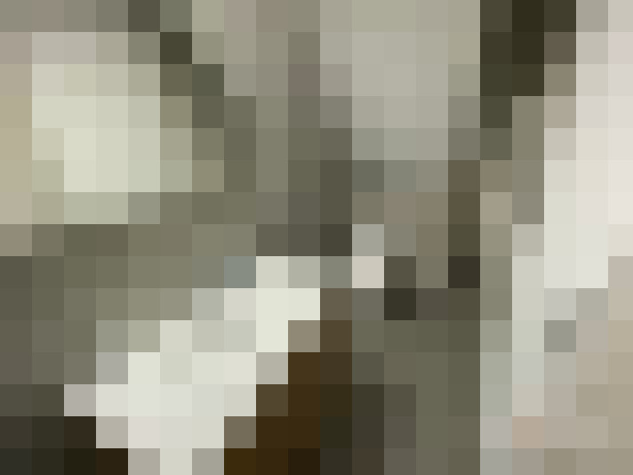 / #12