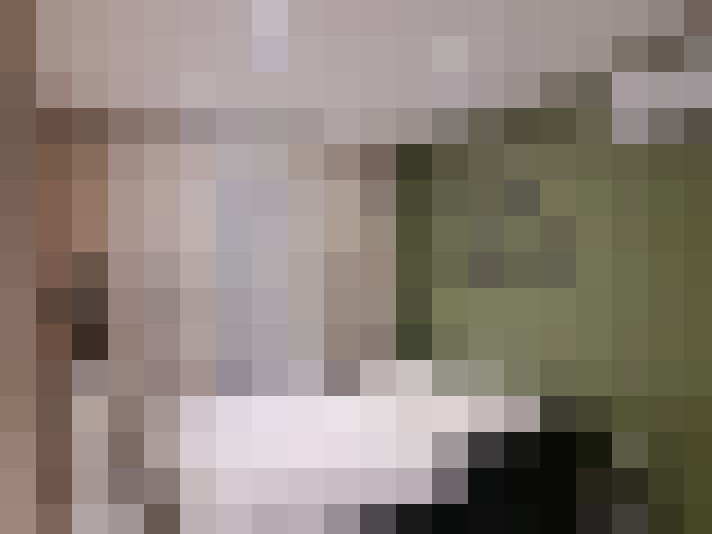  / #19