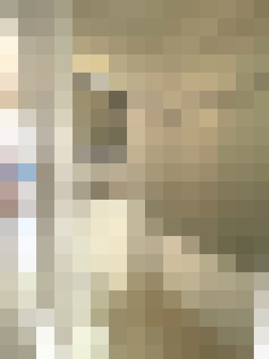  / #20