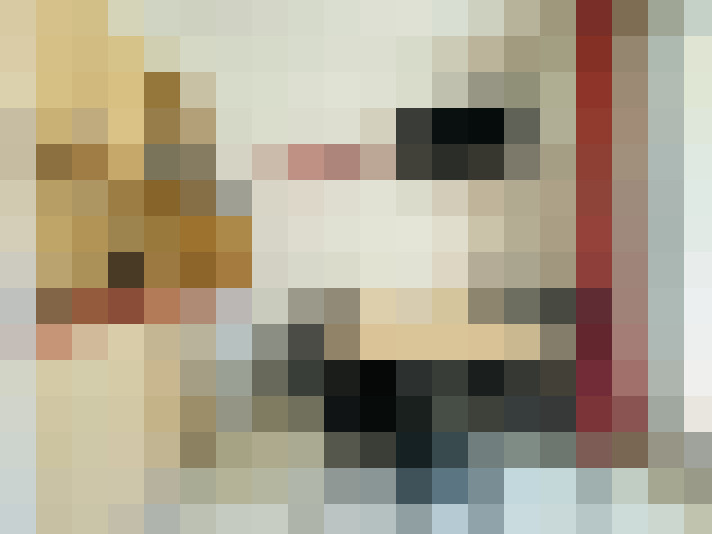  / #20