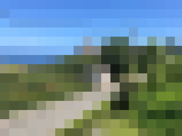  / #13