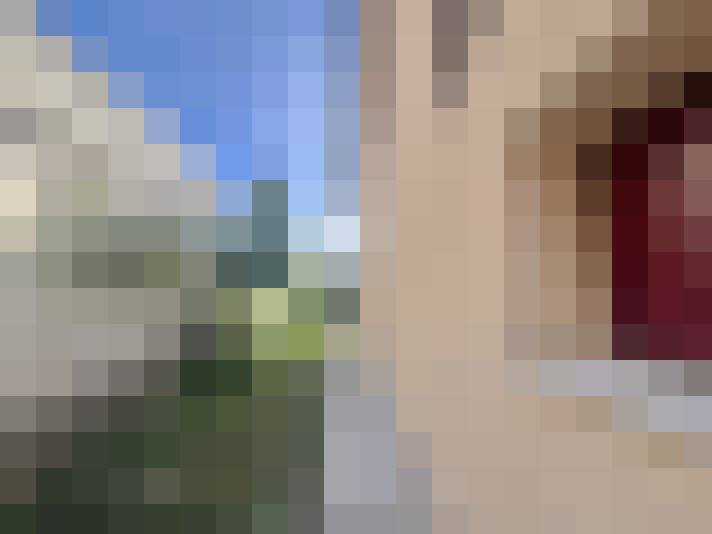  / #14