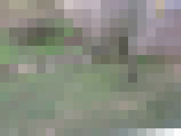  / #19