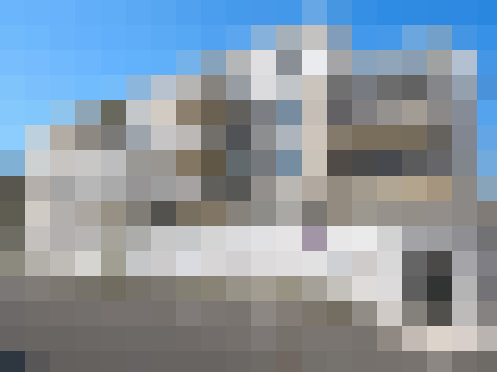  / #6