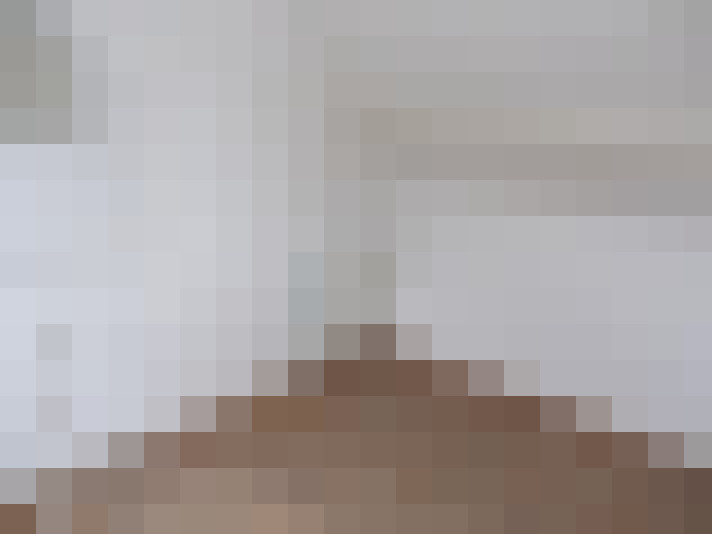  / #11
