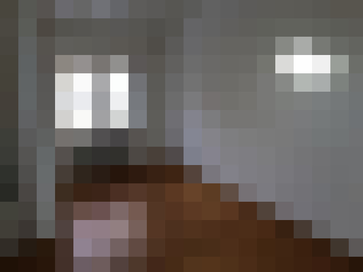  / #5