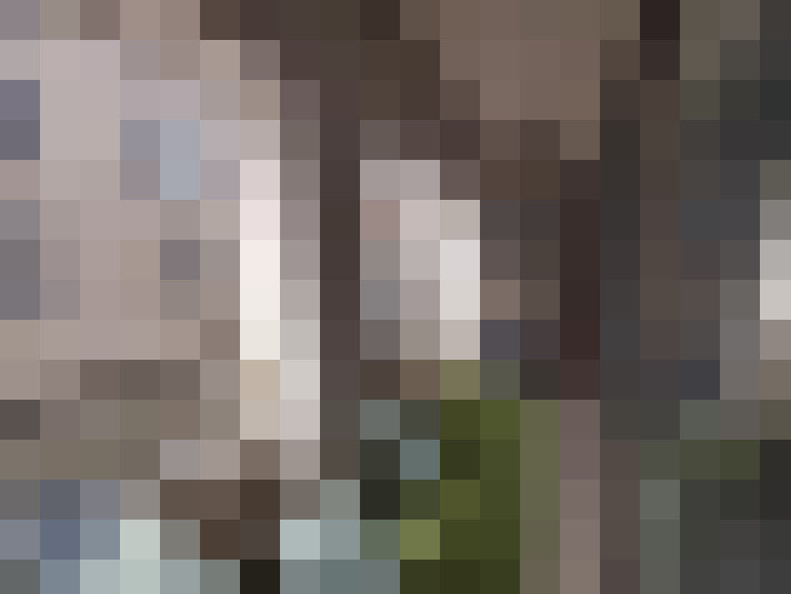  / #7