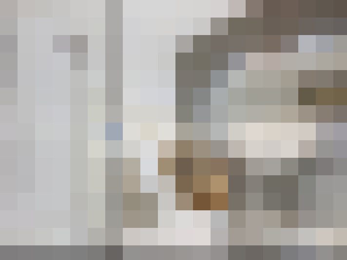  / #14