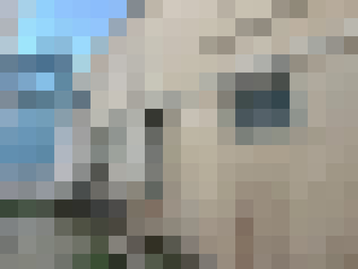  / #7