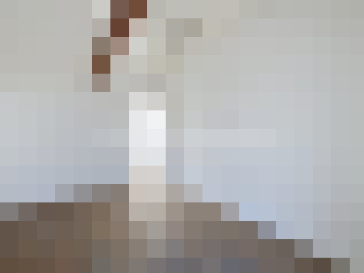  / #10
