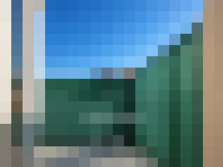  / #6