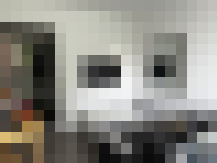  / #14