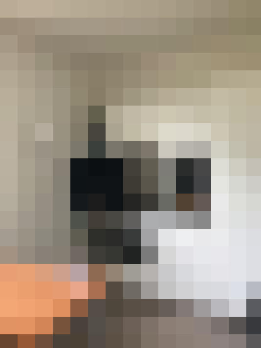  / #23