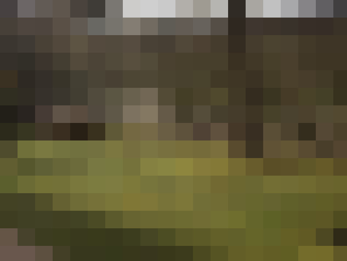  / #16